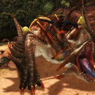 HG Edition パリアプリア