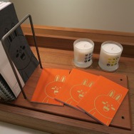 LINEファンの聖地!? 13日オープンの原宿「LINE FRIENDS STORE」をブラウン好きの編集長がチェック！