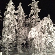 フィンランド政府観光局主催『Angry Birds On Finn Ice』プレスツアーに参加―アングリーバード生誕の地を尋ねて