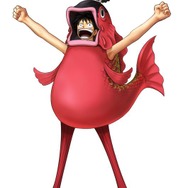 初回特典ルフィ衣装