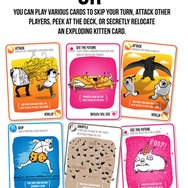 この猫、爆発します…カードゲーム『Exploding Kittens』が1日で目標資金の100倍を集め、既に300万ドル突破