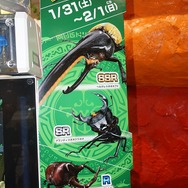 最新作『新甲虫王者ムシキング』ロケテレポ！進化した筐体やバトルシステムをチェック