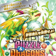 新機能「究極進化」を実装した「パズドラTCG」第2弾スターターデッキとブースターパック発売決定