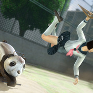 仕掛け「スプリングパンダ」