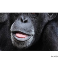 ゲームのナラティブはどうして議論がわかりにくい? 立命館大学ゲーム研究センターの研究員が徹底議論