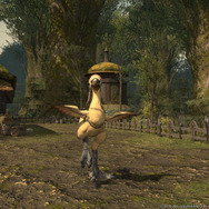 『FF14』パッチ2.51の詳細到着！ ゴールドソーサーやチョコボレース、くじテンダーなど