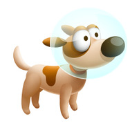 バディ「愛犬パッション」