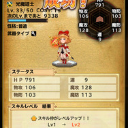 スキル枠レベルを上げて、効果や確率をアップ！