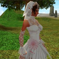 (c)2007 SeedC,Inc. / Gnisoft Co.,Ltd. All rights reserved.