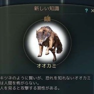 『黒い砂漠』システム「知識」公開…プレイヤーのあらゆる行動が蓄積され、相関図のように全てが繋がる