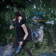 『黒い砂漠』システム「知識」公開…プレイヤーのあらゆる行動が蓄積され、相関図のように全てが繋がる