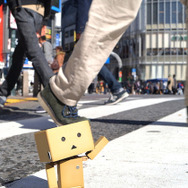 ダンボー渋谷スクランブル