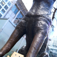 ダンボーハチ公