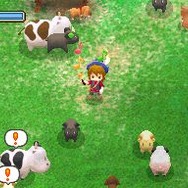 牧場物語 ようこそ!風のバザールへ