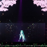初音ミクにニューヨークが熱狂!「HATSUNE MIKU EXPO」映像化 特典はアナログレコード