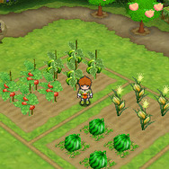 『ポポロクロイス牧場物語』夏の大地・ズズール地方とそこに暮らす人々の情報が公開