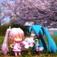 【フィグライフ！】第3回：近所の公園で桜が満開と聞いてミクさんとお散歩してきた