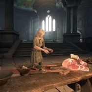 『ドラゴンズドグマ オンライン』ポーンに関する新要素「クラフト」とは…新キャラ＆モンスターも判明