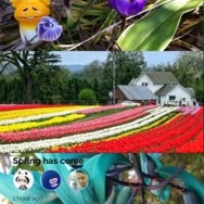 【プレイレポ】見知らぬ誰かと俳句を合作するアプリ「HaikuJam」