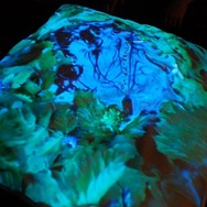 バーチャルリアリティで世界一を目指す―IVRC岐阜大会レポート