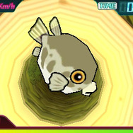 ポイソフト新作『新ひゅ~ストン』配信開始!すべてが前作から大幅パワーアップ