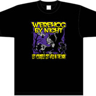 「セガ2008〜2009 冬のキャンペーン」が本日よりスタート！対象タイトル第1弾は『シレンDS2』