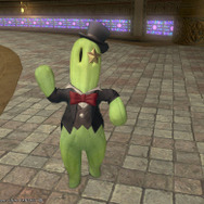 【特集】『ファイナルファンタジーXIV』個性的なNPC20選…“通りすがりのイケメン”から“生首でも愛する狂気の女”まで