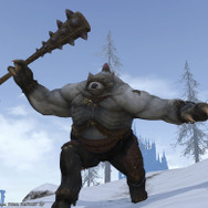 【特集】『ファイナルファンタジーXIV』個性的なNPC20選…“通りすがりのイケメン”から“生首でも愛する狂気の女”まで