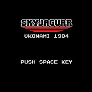 スカイジャガー