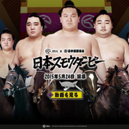 力士が馬に乗って白熱バトル！？日本相撲協会とJRAがコラボ…5月24日にゲーム公開
