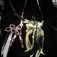 『戦国BASARA4 皇』「京極マリア」のドSすぎるバトルスタイルや『バイオ』コラボ衣装が発表