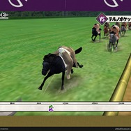 【レポート】競馬とは、相撲とはいったい…JRA×日本相撲協会「日本スモウダービー」がカオス