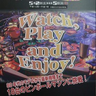 ピンボールワンダーランド