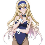 初回限定生産特典・PS3「セクシーバニーコスチューム」