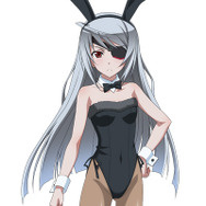 初回限定生産特典・PS3版「セクシーバニーコスチューム」