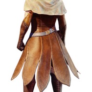 『ドラゴンズドグマ オンライン』パッケージ版にはサントラやアートブックが付属…PS4向けCBT先行募集も開始