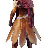 『ドラゴンズドグマ オンライン』パッケージ版にはサントラやアートブックが付属…PS4向けCBT先行募集も開始