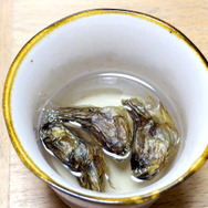 【特集】九州のエイリアンが東京に出現…焼いて、煮て、揚げて食べてみた