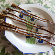 【特集】九州のエイリアンが東京に出現…焼いて、煮て、揚げて食べてみた