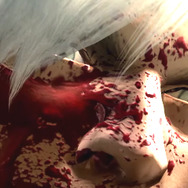 今週発売の新作ゲーム『デビル メイ クライ 4 SE』『ポポロクロイス牧場物語』『PayDay 2: Crimewave Edition』他