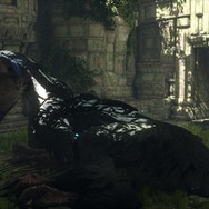 【E3 2015】『人喰いの大鷲トリコ』2016年発売！新たな映像・画像もお目見え