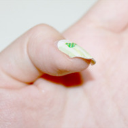 【オトナの乙女ゲーム道】第9回 ネイルで楽しむ乙女ゲーム