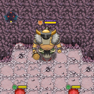 火曜限定ダンジョン・中級ボス