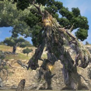 『ドラゴンズドグマ オンライン』灼熱の翼竜「ドレイク」や森の王「グランエント」が公開