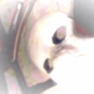 深層Webで謎のホラーゲーム『Sad Satan』が発見される…作者や制作意図は一切不明