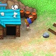 牧場物語 ようこそ!風のバザールへ