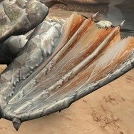 『MHF-G』G8の「遷悠種ジンオウガ」狩猟条件など最新情報が明らかに