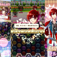 女性向けパズルRPG『夢王国と眠れる100人の王子様』のテレビCMスタート