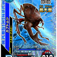 ムシカード
