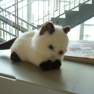 【レポート】爽やかに響く、夏空の旋律。ファンの愛情で実現した『夏空のモノローグ』演奏会